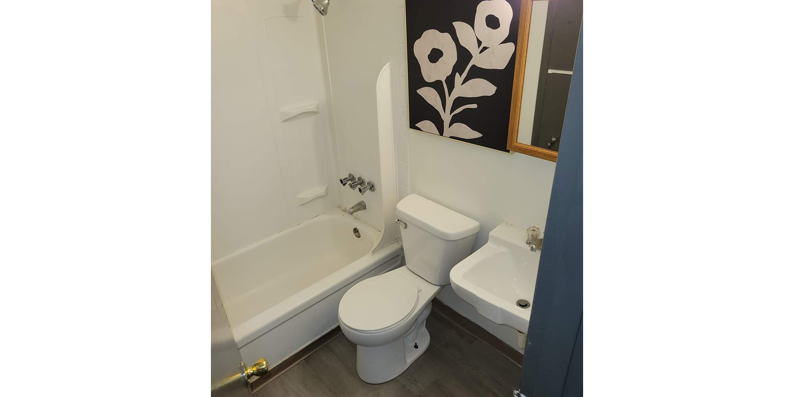 Small bathroom with a white bathtub and shower, a toilet, and a sink. Above the toilet, there's a black and white artwork featuring two large flowers. The floor is wooden, and there's a mirrored cabinet on the wall.